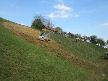 Kräutergarten am 1.Tag